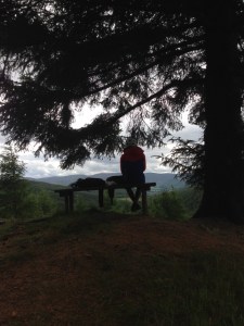 Glentress Black Route